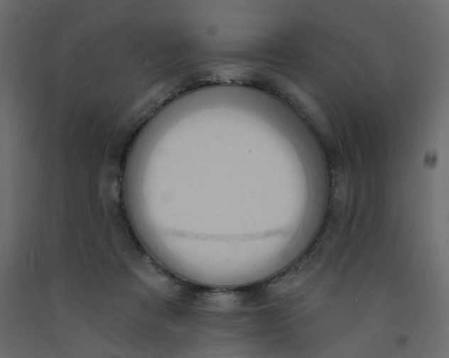 X0000092110313200710101148