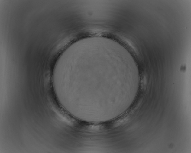 X0000092110314200710101148