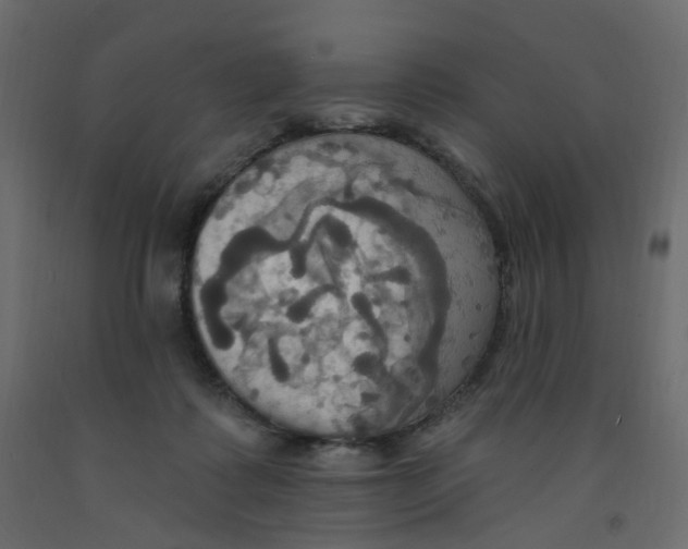 X0000092110315200710101148