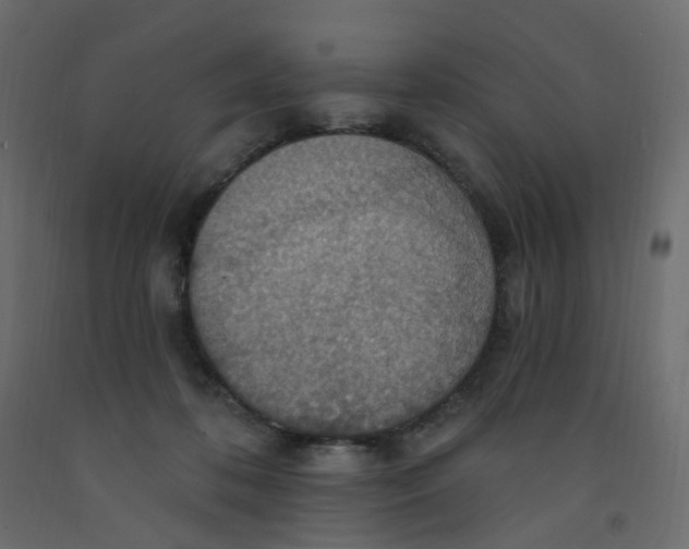 X0000092110316200710101148