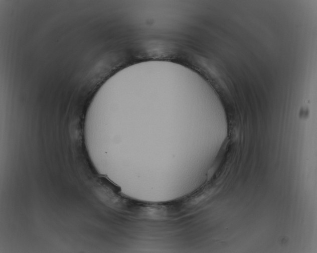X0000092110317200710101148