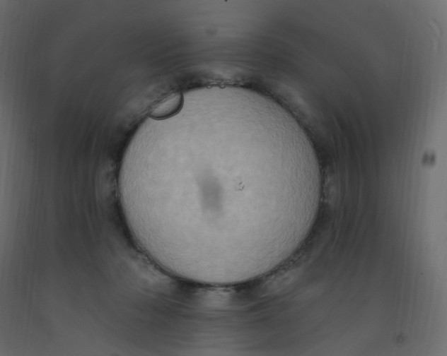 X0000092110318200710101148