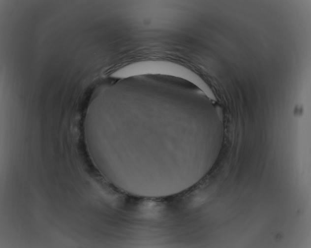 X0000092110319200710101148