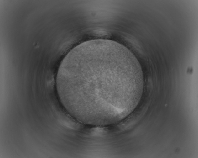 X0000092110320200710101148