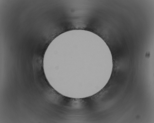 X0000092110321200710101148
