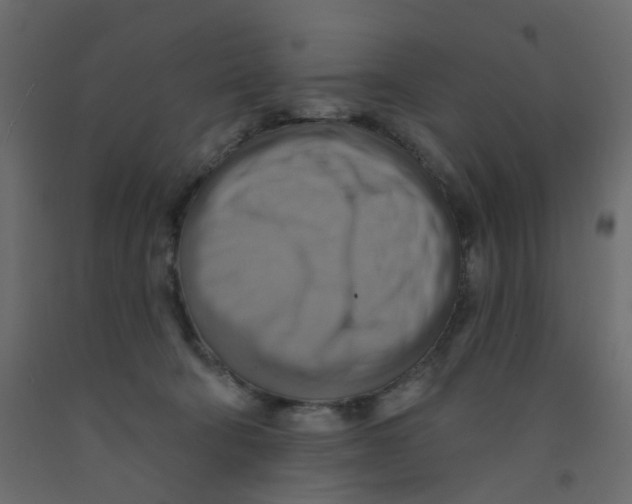 X0000092110322200710101148
