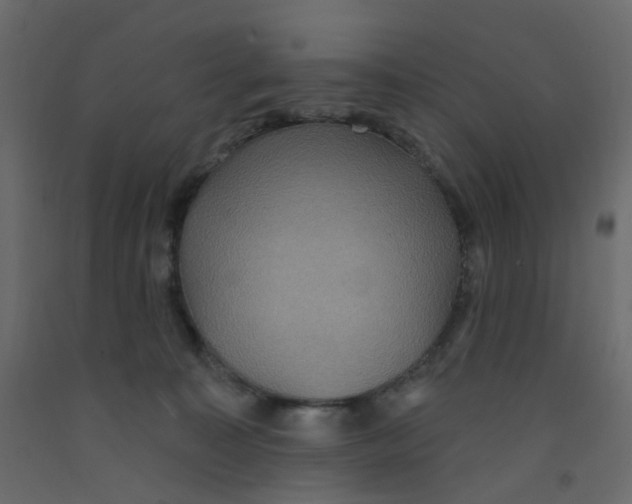 X0000092110323200710101148