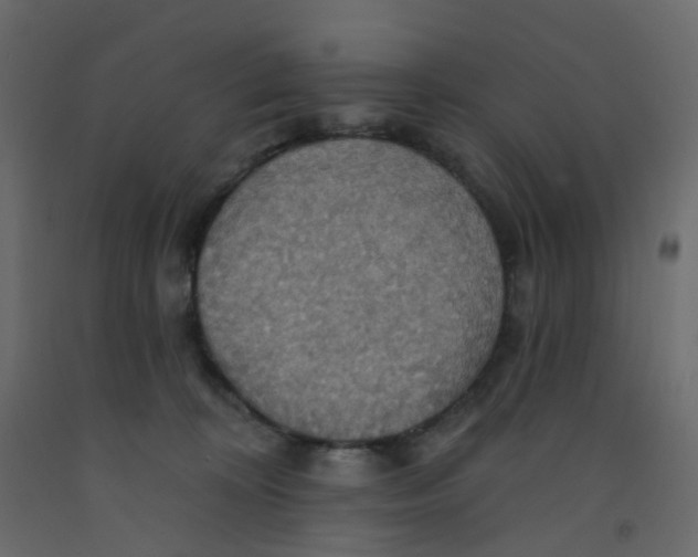 X0000092110324200710101148