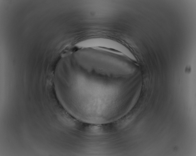X0000092110325200710101148