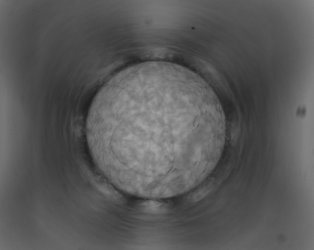X0000092110326200710101148
