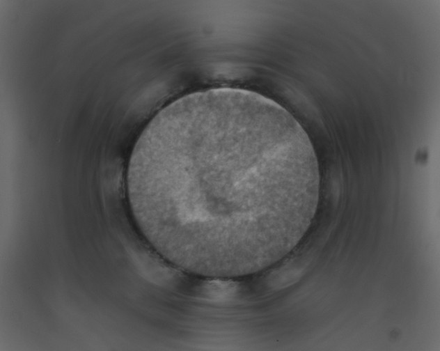 X0000092110328200710101148