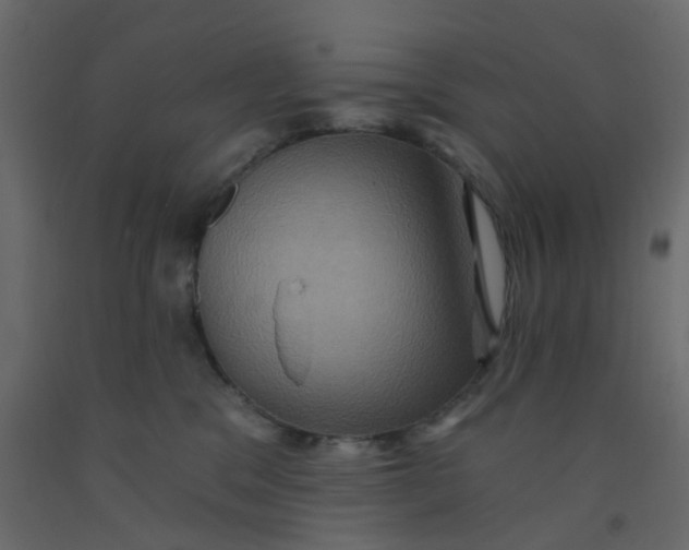X0000092110329200710101148