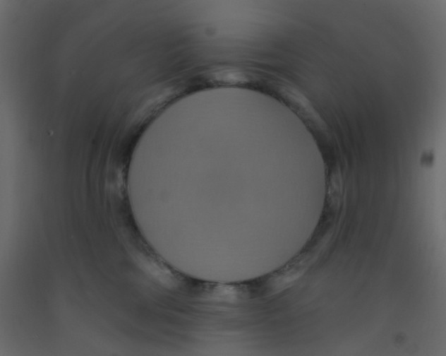 X0000092110330200710101148