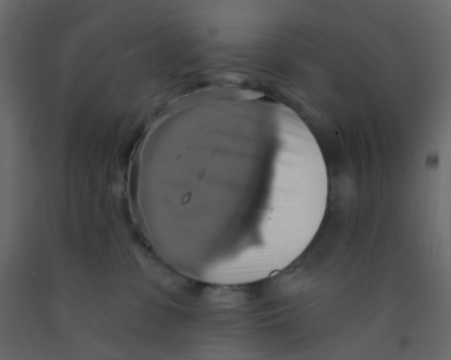 X0000092110331200710101148
