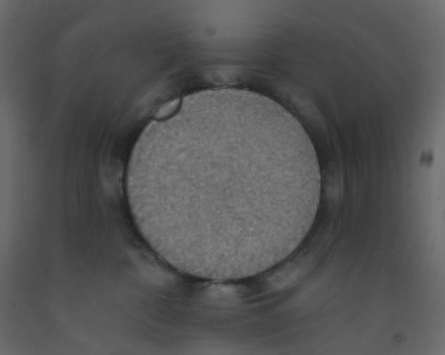 X0000092110332200710101148