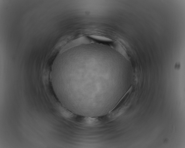 X0000092110333200710101148