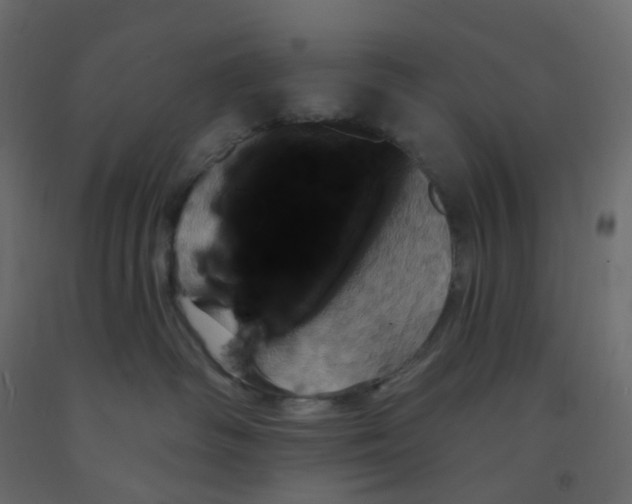 X0000092110334200710101148