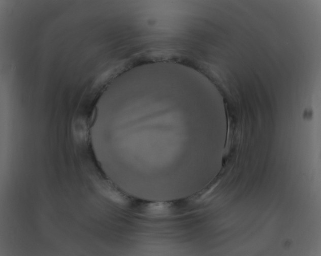 X0000092110335200710101148