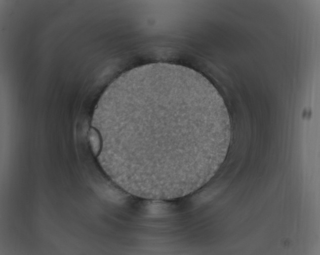 X0000092110336200710101148