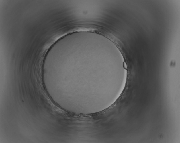 X0000092110337200710101148