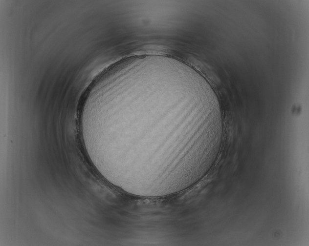 X0000092110338200710101148