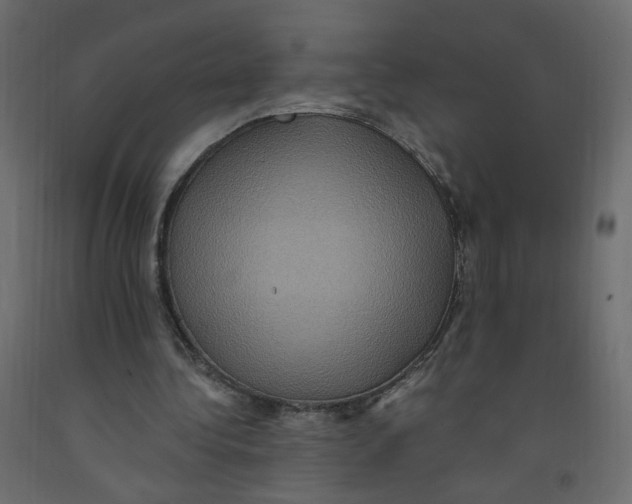X0000092110340200710101148