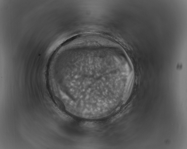 X0000092110341200710101148