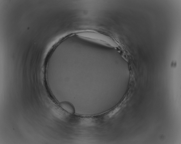 X0000092110342200710101148