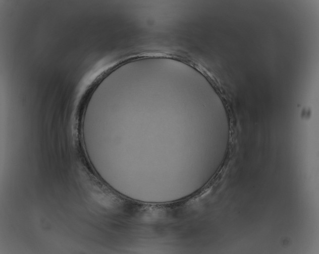 X0000092110343200710101148