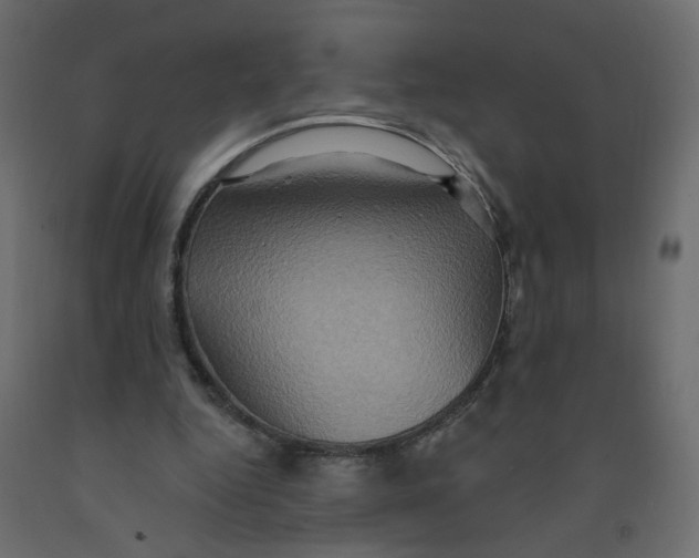 X0000092110344200710101148