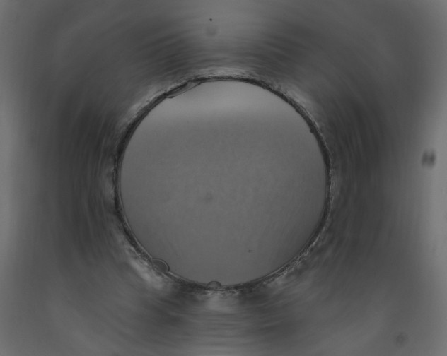 X0000092110345200710101148