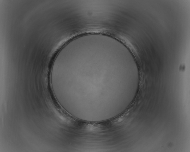 X0000092110346200710101148