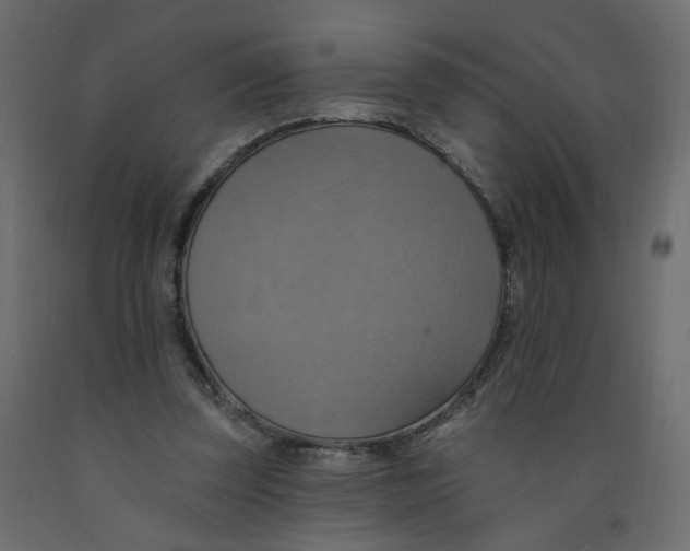 X0000092110347200710101148