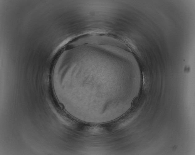 X0000092110348200710101148