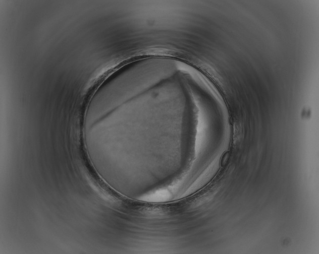 X0000092110349200710101148