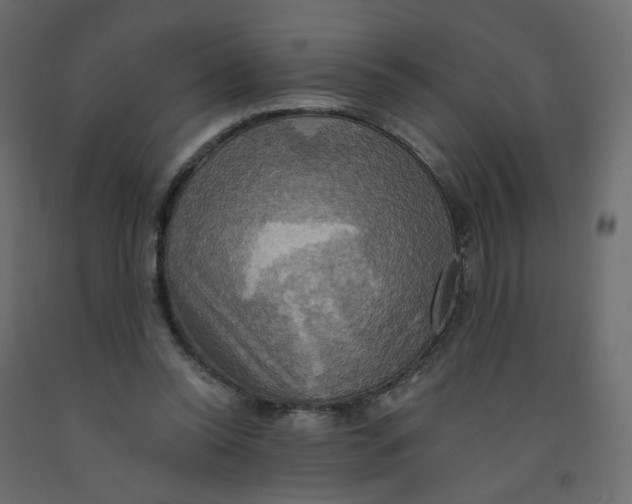 X0000092110350200710101148