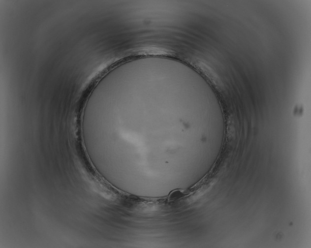 X0000092110351200710101148