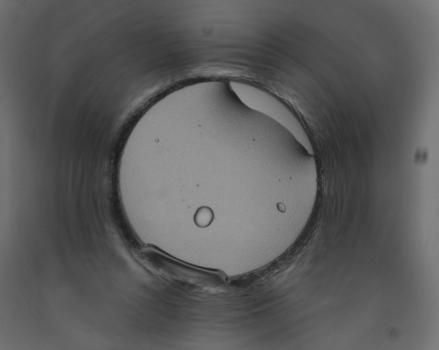 X0000092110352200710101148