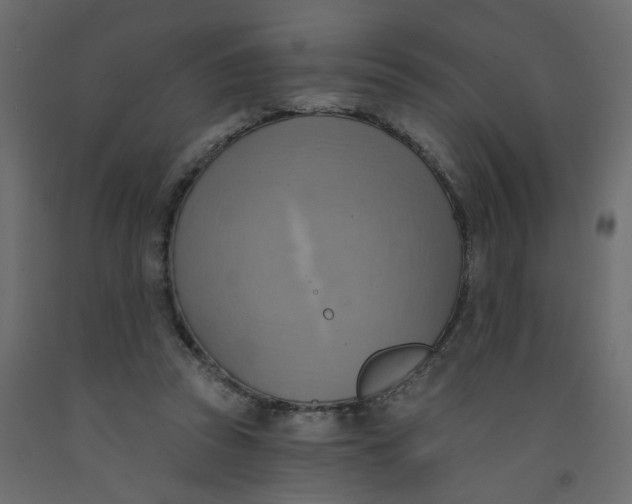 X0000092110353200710101148