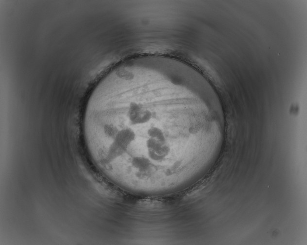 X0000092110354200710101148