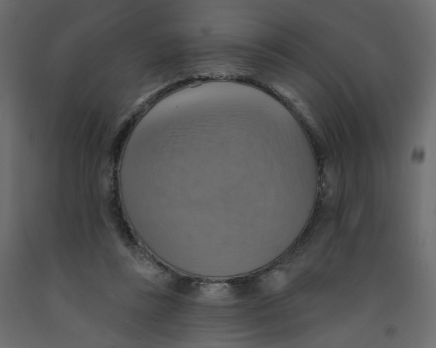 X0000092110355200710101148