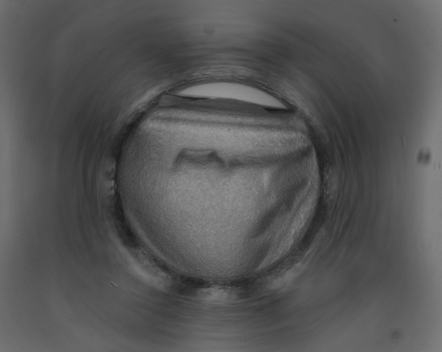 X0000092110356200710101148