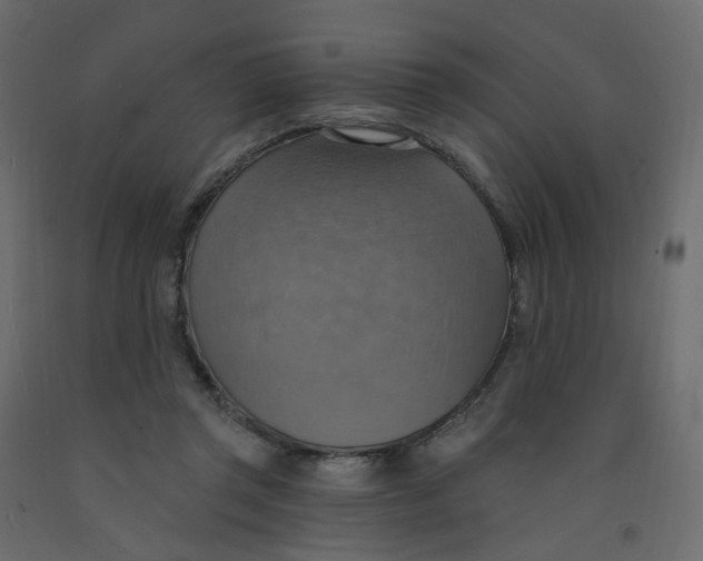 X0000092110357200710101148