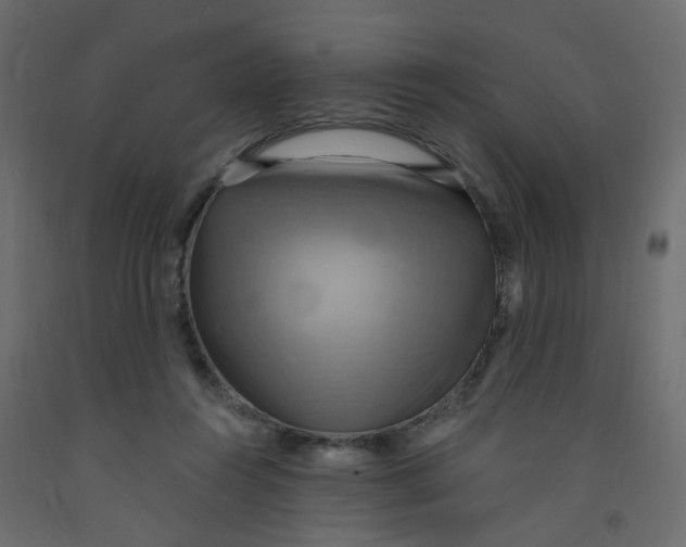 X0000092110360200710101148