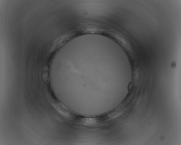 X0000092110361200710101148