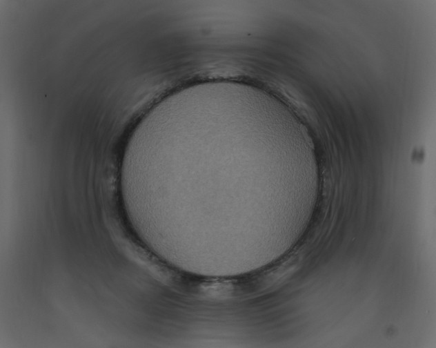 X0000092110362200710101148