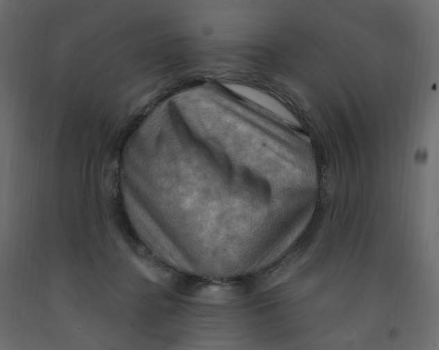 X0000092110364200710101148