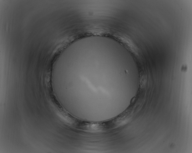 X0000092110365200710101148