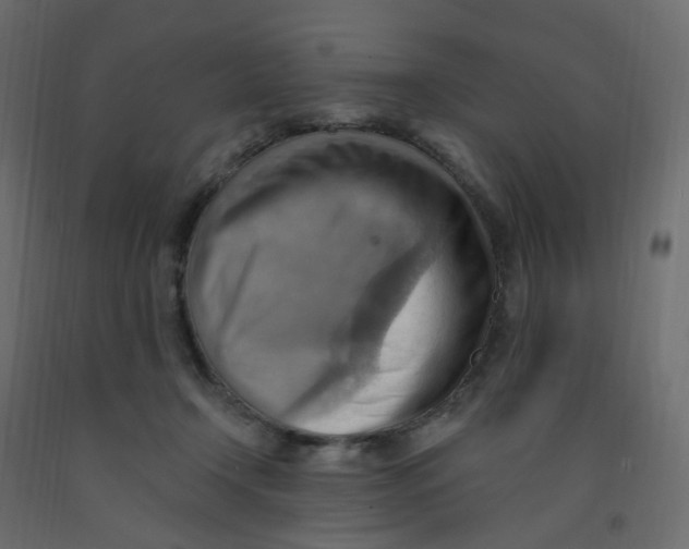 X0000092110366200710101148