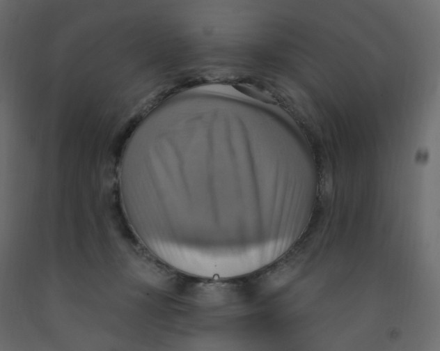 X0000092110367200710101148